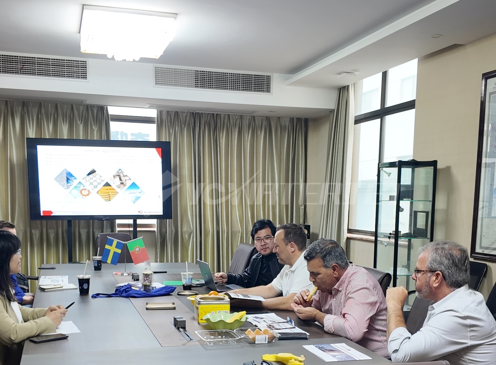 葡萄牙人看高压_1 (2).JPG