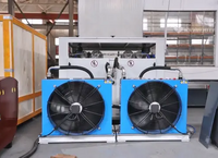 Ultra-100S Dual-Intensifier Redundant System